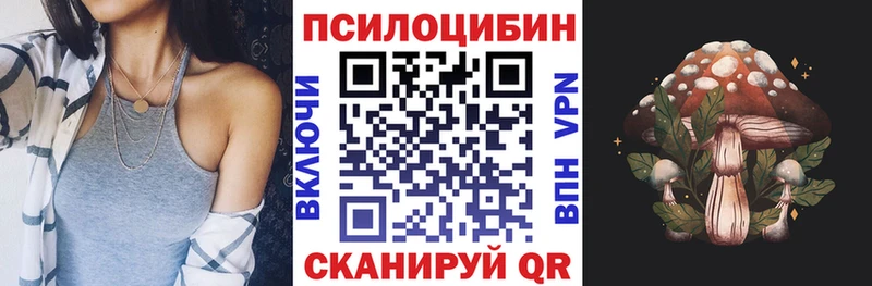 Купить закладки  Анива  Псилоцибиновые грибы GOLDEN TEACHER 
