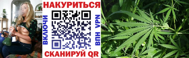 Конопля план  Купить где  Анива 
